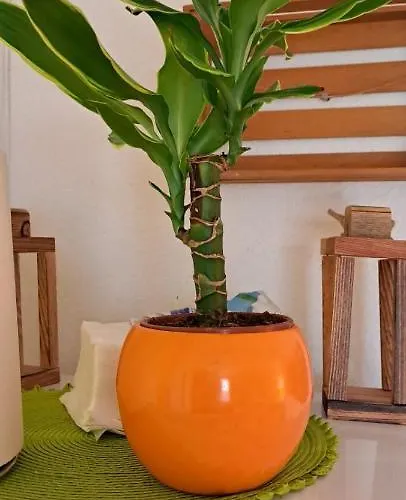 Hello Skopje! Скопье